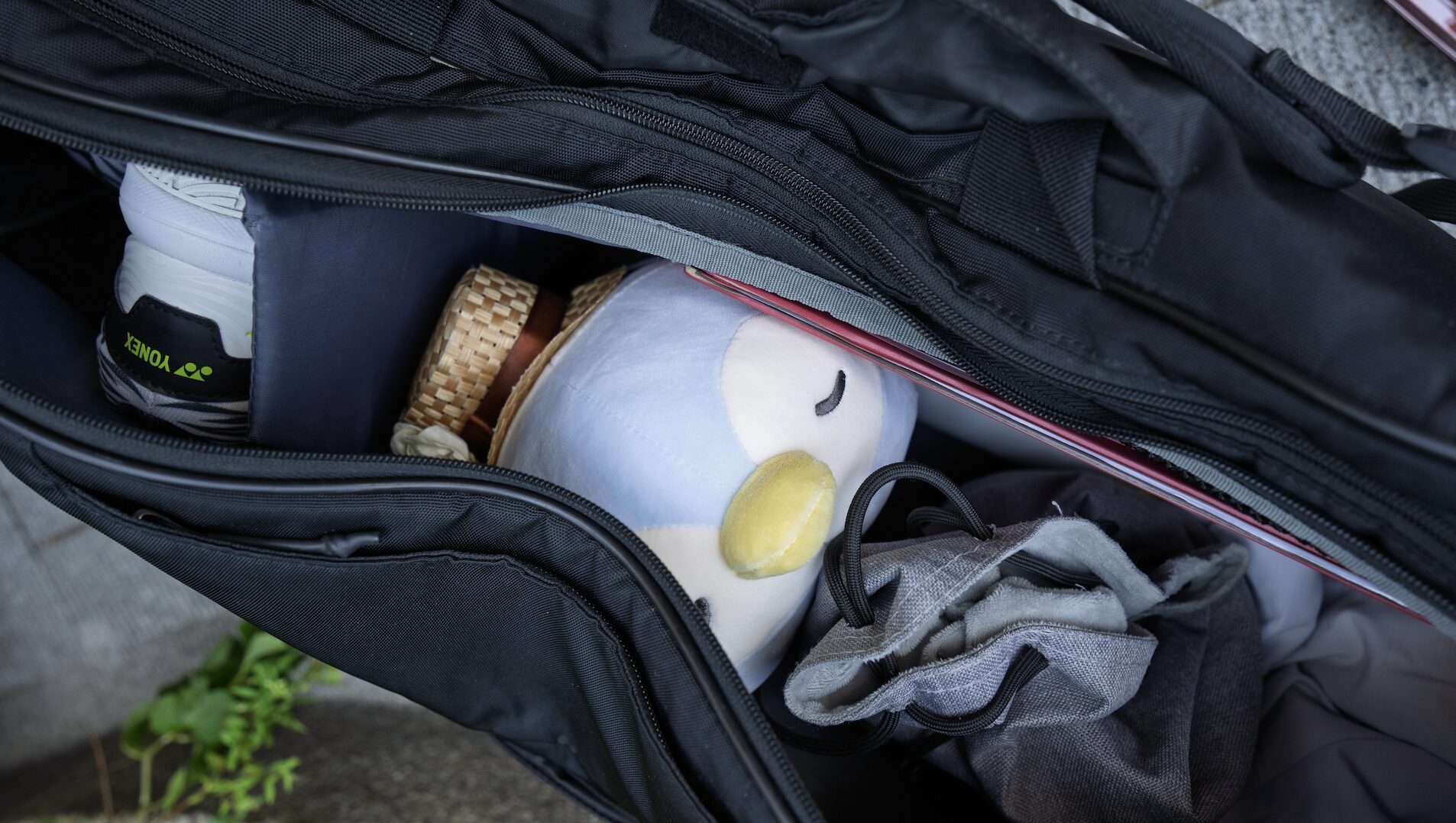 ラケットバッグに潜むぺつこ